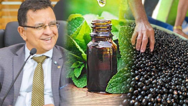 Aleac aprova PLs de Gonzaga que institui o Programa de Farmácias Vivas e torna Feijó a "Capital do Açaí"