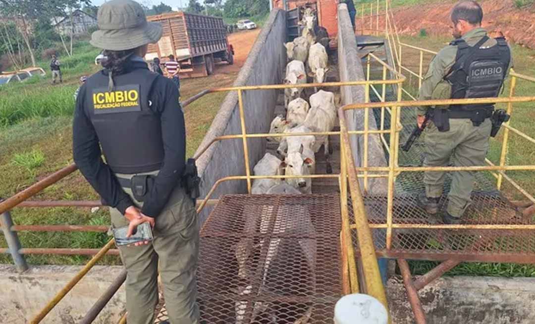 “Quem tem caminhonete aqui, pode guardar”, denuncia deputado após retirada da Força Nacional da fronteira para atuar na Suçuarana