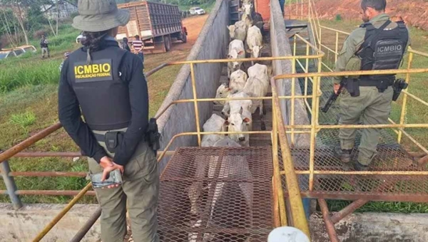 “Quem tem caminhonete aqui, pode guardar”, denuncia deputado após retirada da Força Nacional da fronteira para atuar na Suçuarana