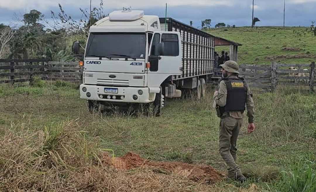 ICMBio e Ibama já aplicaram R$ 55,92 milhões em multas no Acre e embargaram mais de 492 mil hectares