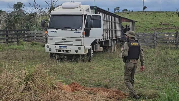 ICMBio e Ibama já aplicaram R$ 55,92 milhões em multas no Acre e embargaram mais de 492 mil hectares