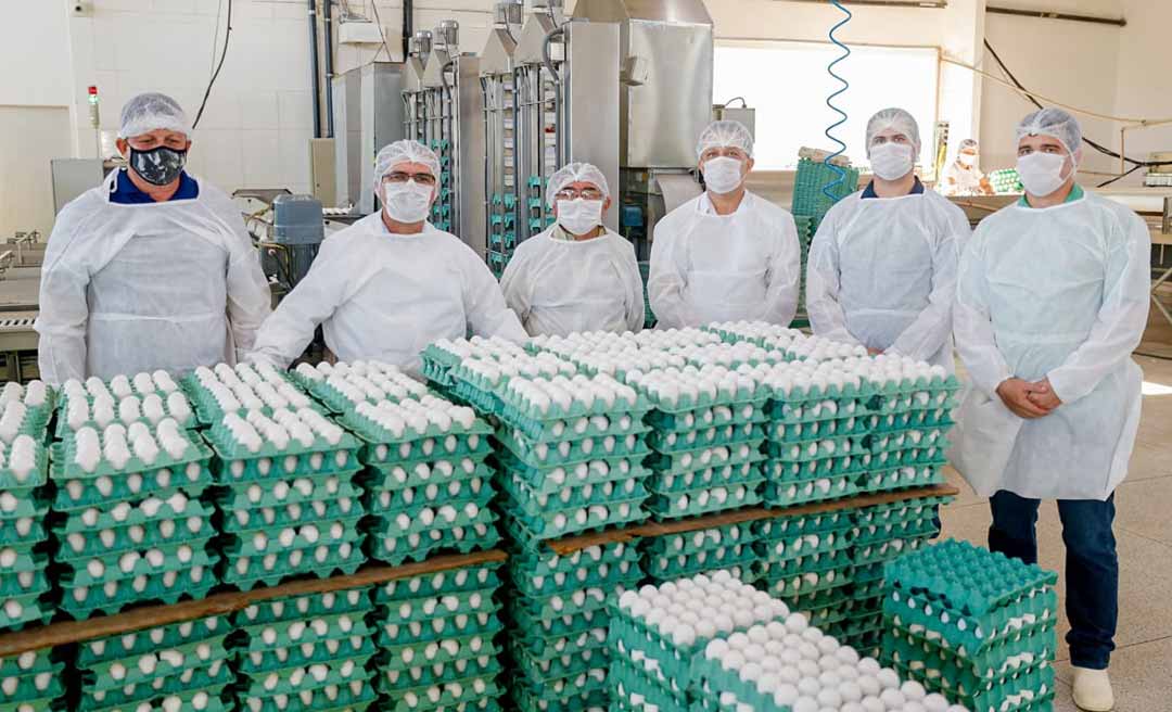 Produção de ovos no Acre segue em alta, mostra levantamento do IBGE