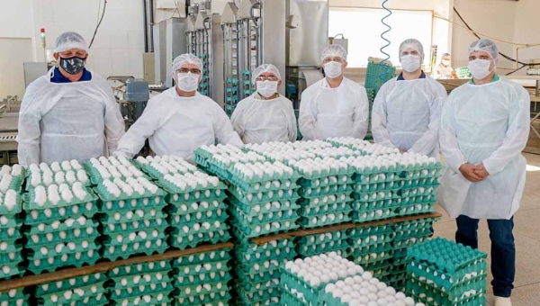 Produção de ovos no Acre segue em alta, mostra levantamento do IBGE