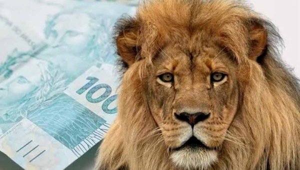 Reforma do Imposto de Renda pode retirar R$ 9,5 bilhões dos cofres municipais, alerta associação