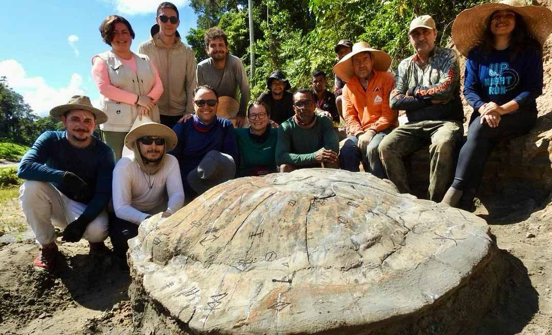 Fóssil de tartaruga gigante pré-histórica é descoberto no Acre; achado pode ajudar a entender a fauna amazônica de milhões de anos