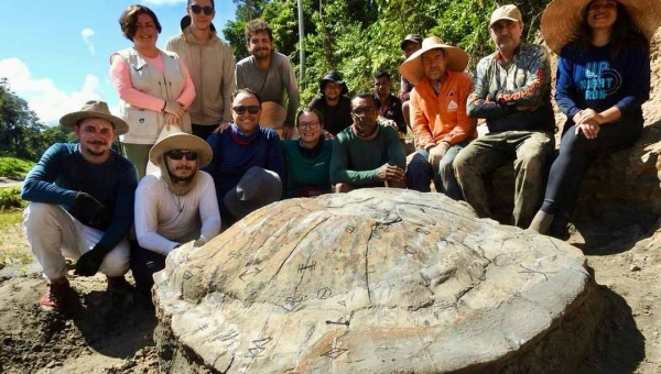 Fóssil de tartaruga gigante pré-histórica é descoberto no Acre; achado pode ajudar a entender a fauna amazônica de milhões de anos