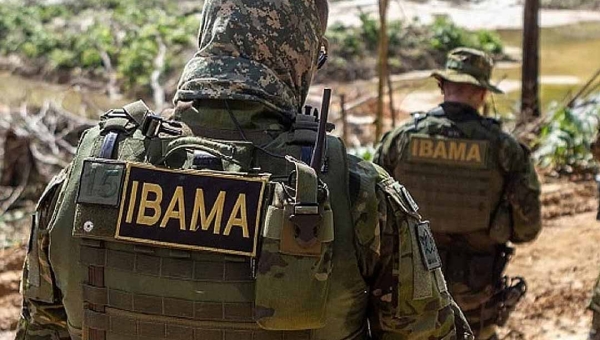 Ibama do Amazonas embarga áreas de terras no arco do desmatamento em Lábrea e Boca do Acre, cidades vizinhas ao Acre
