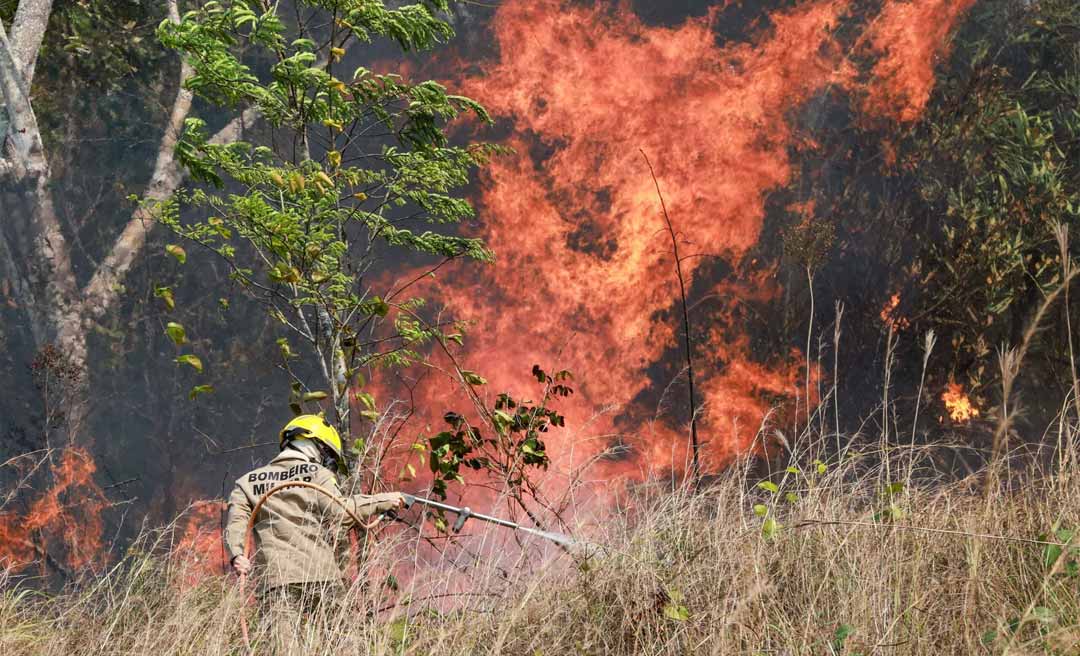 Em quase 40 anos, Acre queimou perto de 3 milhões de hectares, mostra estudo