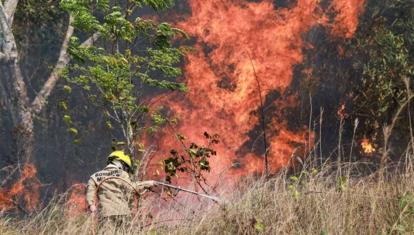 Em quase 40 anos, Acre queimou perto de 3 milhões de hectares, mostra estudo