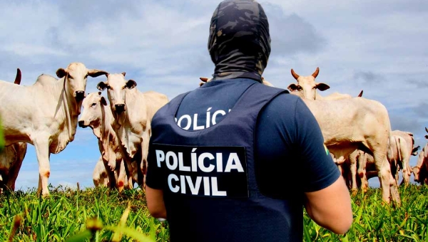 Polícia Civil do Acre desarticula quadrilha especializada em furtos de gado na fronteira com a Bolívia