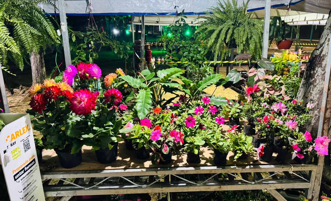 X ECOFLORES movimenta economia local e fortalece produção regional