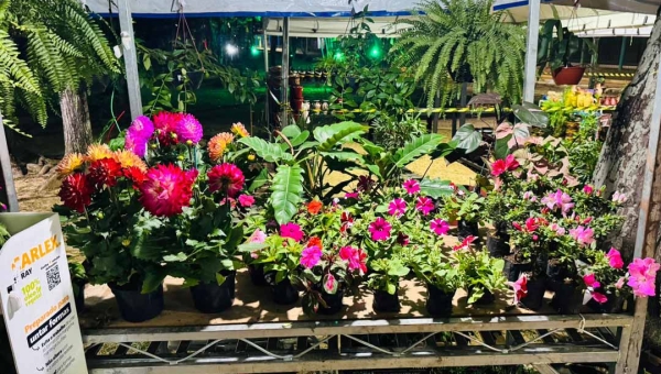 X ECOFLORES movimenta economia local e fortalece produção regional