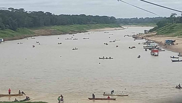 Mandi sobe os rios em Boca do Acre e fenômeno marca início da piracema sob frio incomum