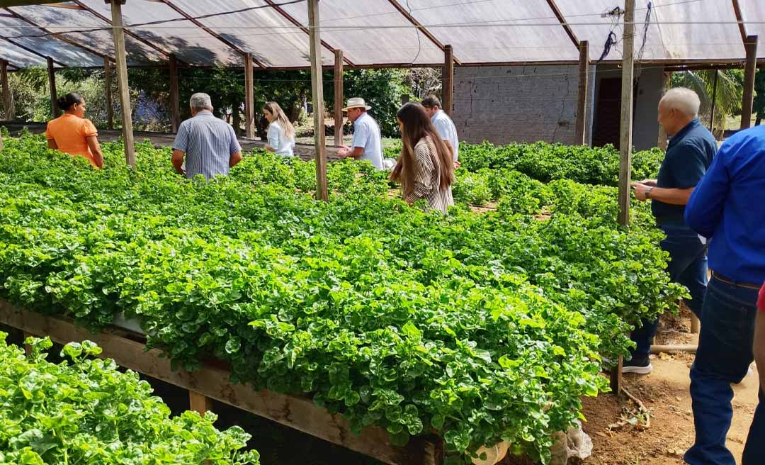 Prefeitura de Rio Branco busca boas práticas em Ariquemes para fortalecer agricultura familiar e produção leiteira