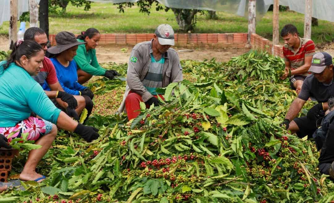 Governo federal divulga bônus de desconto para produtores rurais por meio Pronaf para a Agricultura Familiar