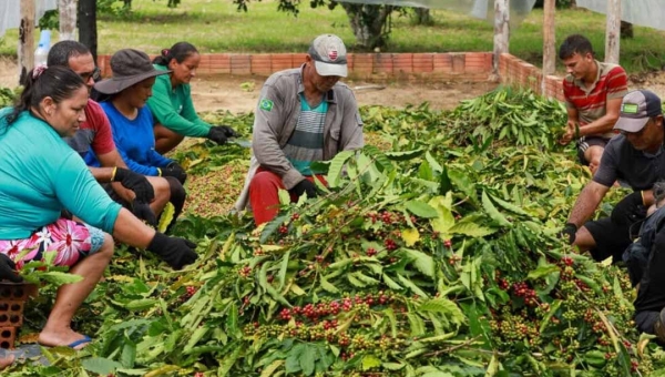 Governo federal divulga bônus de desconto para produtores rurais por meio Pronaf para a Agricultura Familiar