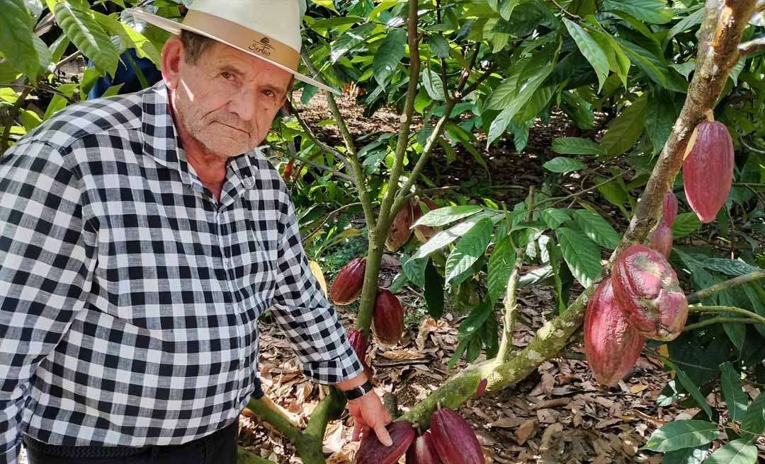 Prefeitura de Rio Branco busca parcerias em Rondônia para implantar cultura do cacau