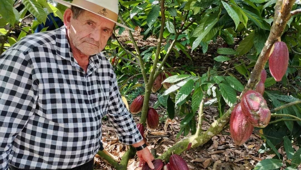 Prefeitura de Rio Branco busca parcerias em Rondônia para implantar cultura do cacau