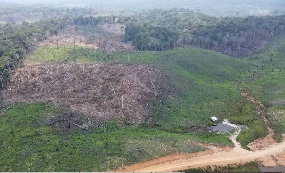 Acre apresenta redução de 16% nos alertas de desmatamento no primeiro semestre de 2025, diz governo