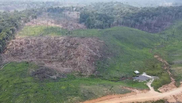 Acre apresenta redução de 16% nos alertas de desmatamento no primeiro semestre de 2025, diz governo