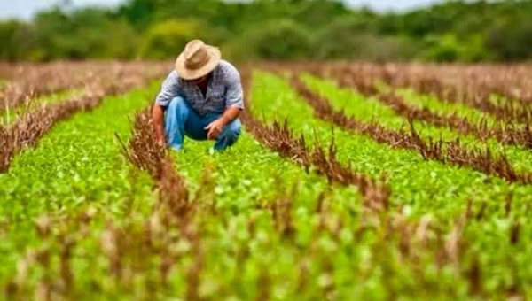 Banco da Amazônia lança Plano Safra 2025/2026 com R$ 12 bilhões e aposta em agricultura sustentável na Região Amazônica