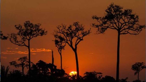 Após ação do MPF, Justiça determina que ICMBio realize georreferenciamento na Reserva Chico Mendes