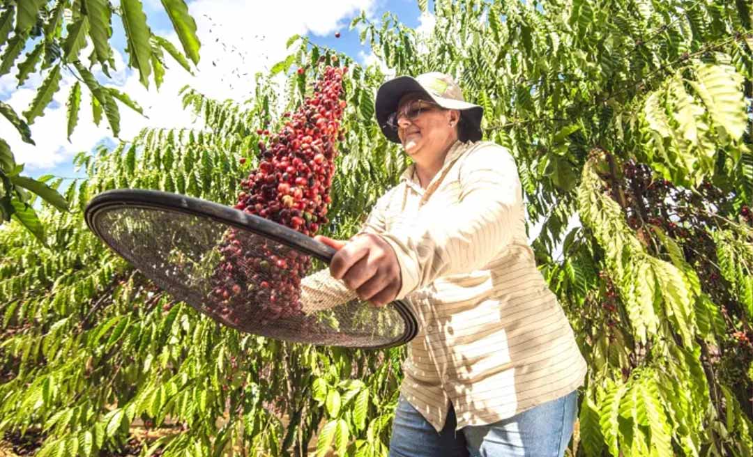Estudo mostra a importância da polinização animal para a atividade agrícola e extrativista do Acre