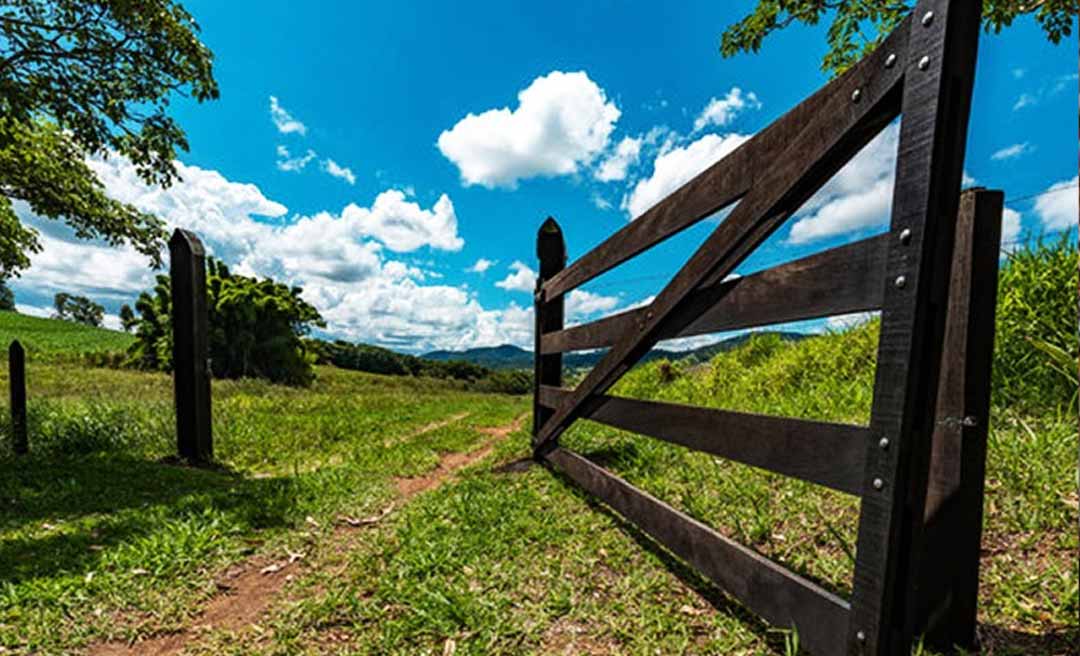 Receita Federal define regras para entrega da Declaração do Imposto territorial Rural (ITR) 2025