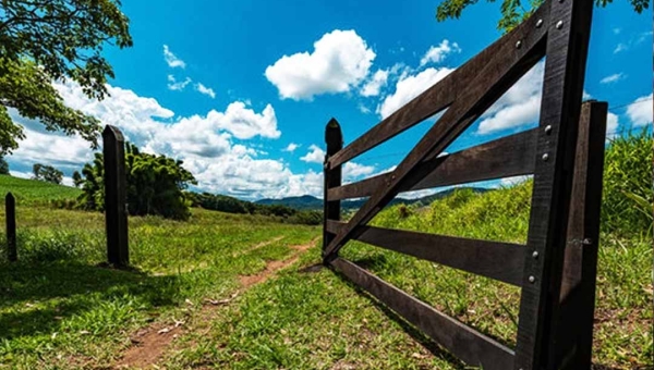 Receita Federal define regras para entrega da Declaração do Imposto territorial Rural (ITR) 2025