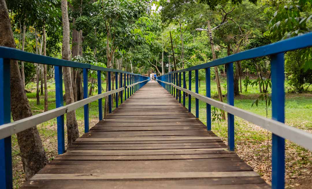 Escola Beija-Flor promove oficina gratuita de agroecologia urbana para jovens e adultos no Parque Capitão Ciríaco