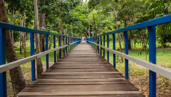 Escola Beija-Flor promove oficina gratuita de agroecologia urbana para jovens e adultos no Parque Capitão Ciríaco