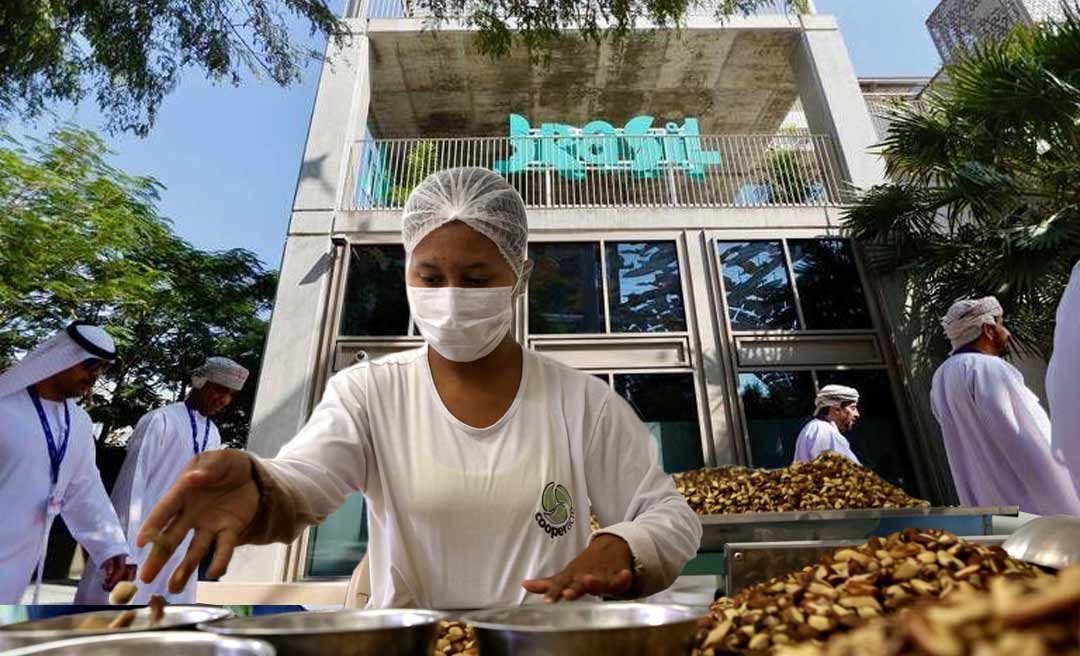 Estudo inédito da ABDI identifica cerca de 11 mil empreendimentos ligados à sociobiodiversidade na Amazônia