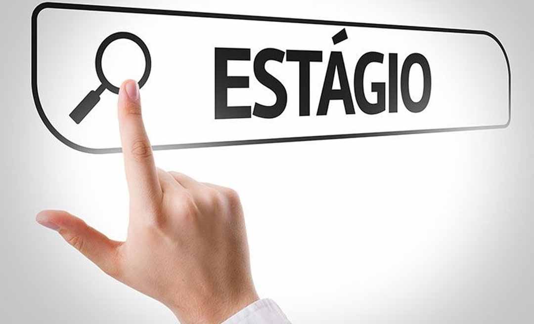 IEL oferece mais de 1,7 mil vagas de estágio no estados brasileiros com bolsas de até R$ 2 mil