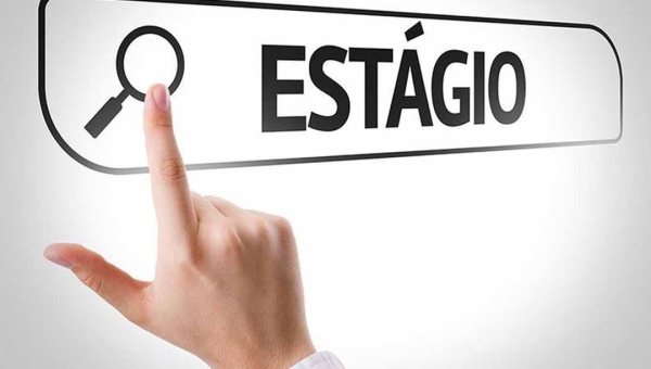 IEL oferece mais de 1,7 mil vagas de estágio no estados brasileiros com bolsas de até R$ 2 mil