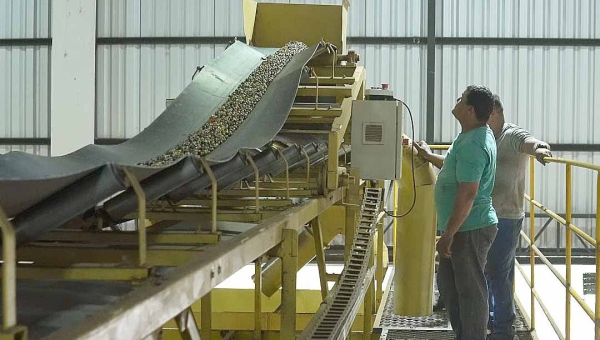 Capacitação fortalece cooperativismo da agricultura familiar no Complexo Industrial do Café do Juruá (AC)