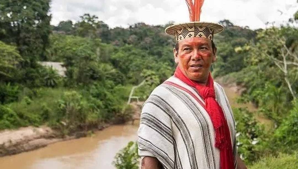 O atraso não está na floresta, está na ignorância