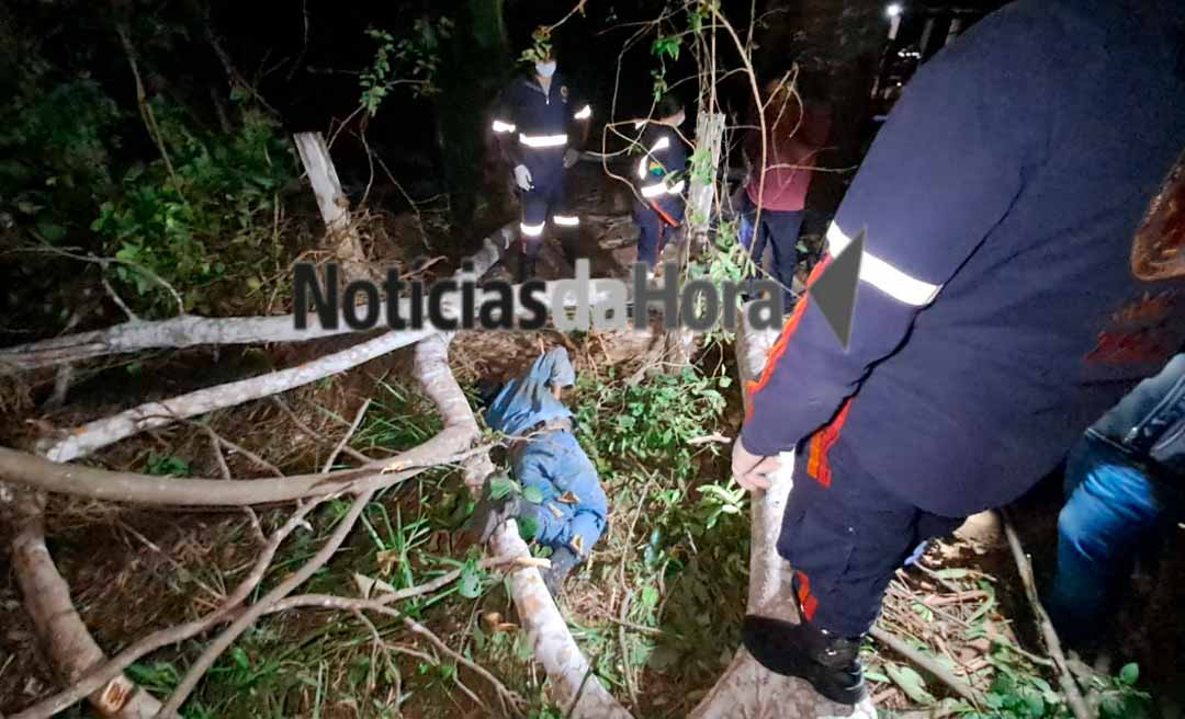 Trabalhador rural morre após cair de árvore de aproximadamente 30 metros