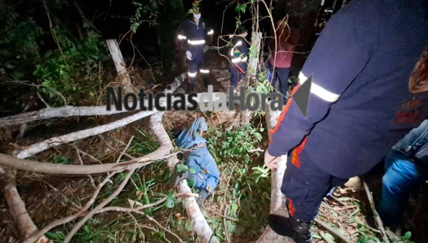 Trabalhador rural morre após cair de árvore de aproximadamente 30 metros