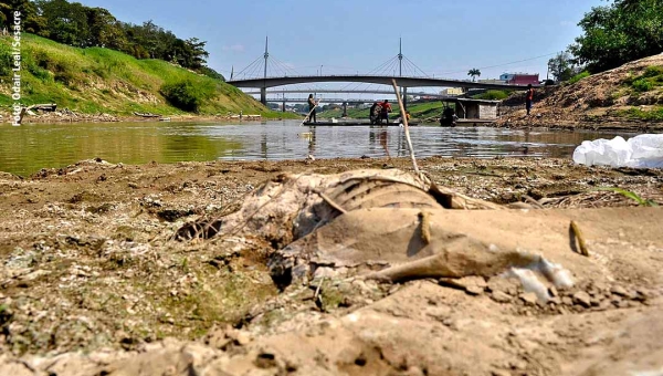 Seca no Acre já traz prejuízos no campo com a morte de animais e perda de lavouras