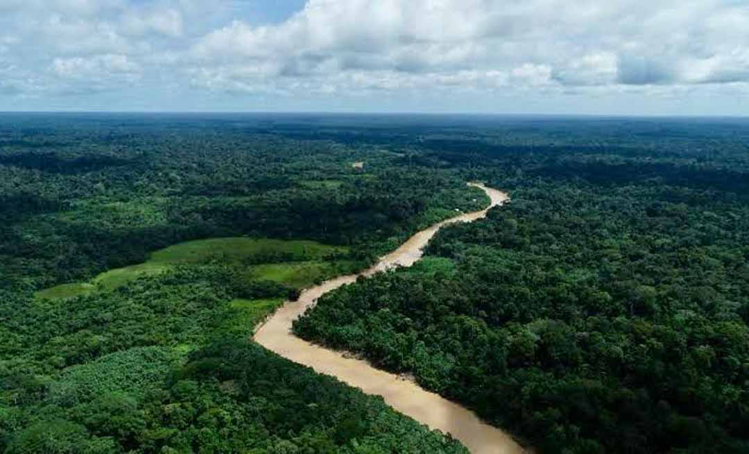 Capacitação profissional: Governo do Acre cria Programa de Residência Técnica em Serviço na Área Ambiental e Climática