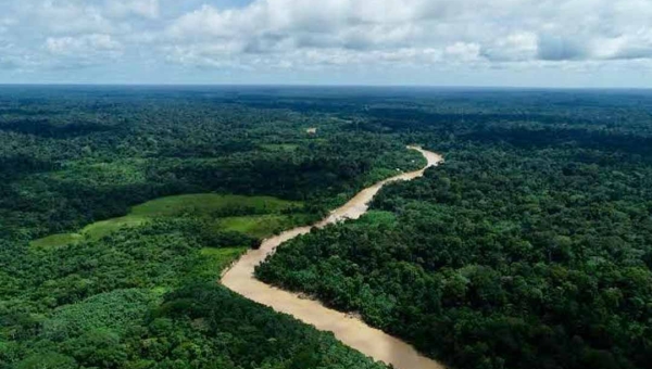 Capacitação profissional: Governo do Acre cria Programa de Residência Técnica em Serviço na Área Ambiental e Climática