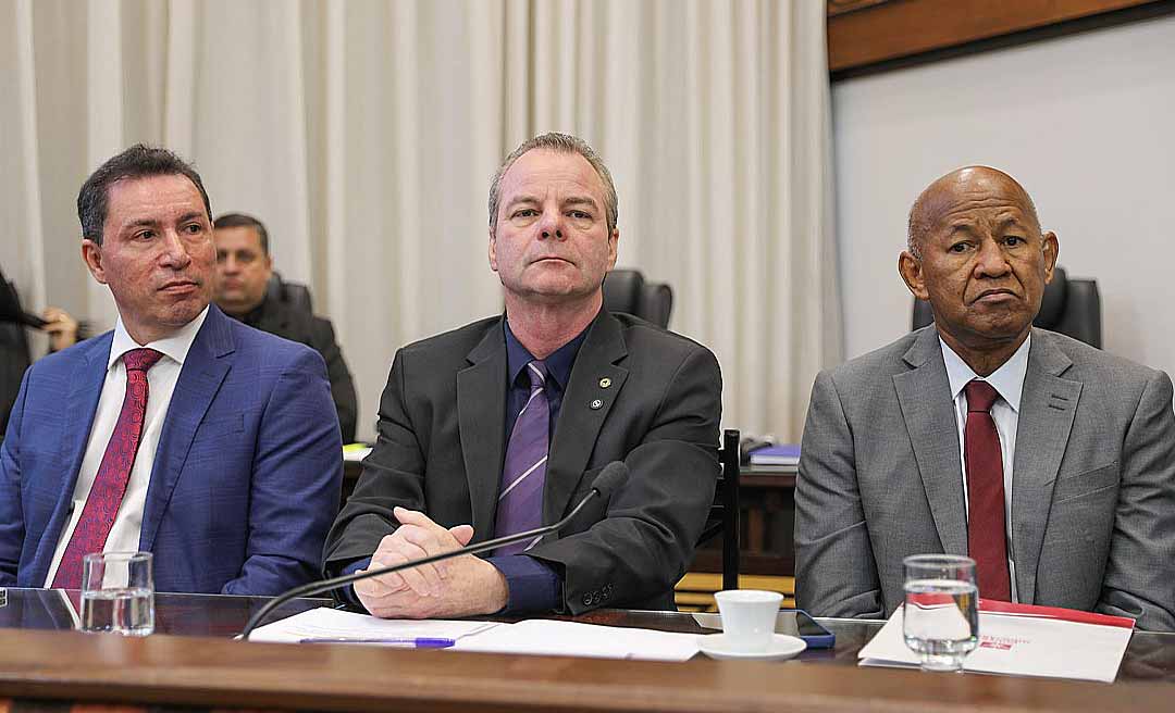 Sessão solene de autoria do deputado Pedro Longo celebra 30 anos do Projeto Cidadão