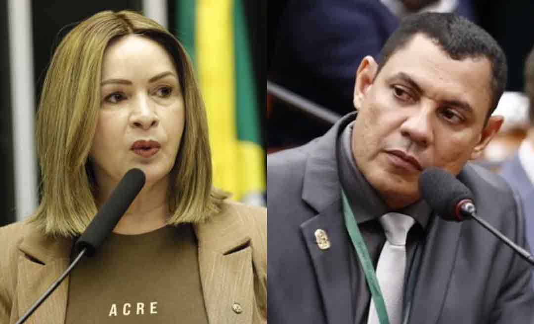 Socorro Neri e Coronel Ulysses foram os mais presentes no plenário da Câmara em 2025