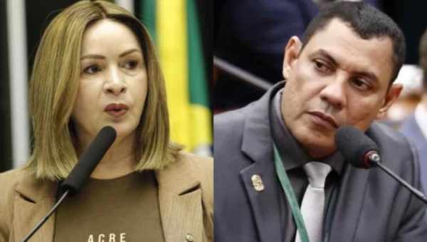 Socorro Neri e Coronel Ulysses foram os mais presentes no plenário da Câmara em 2025