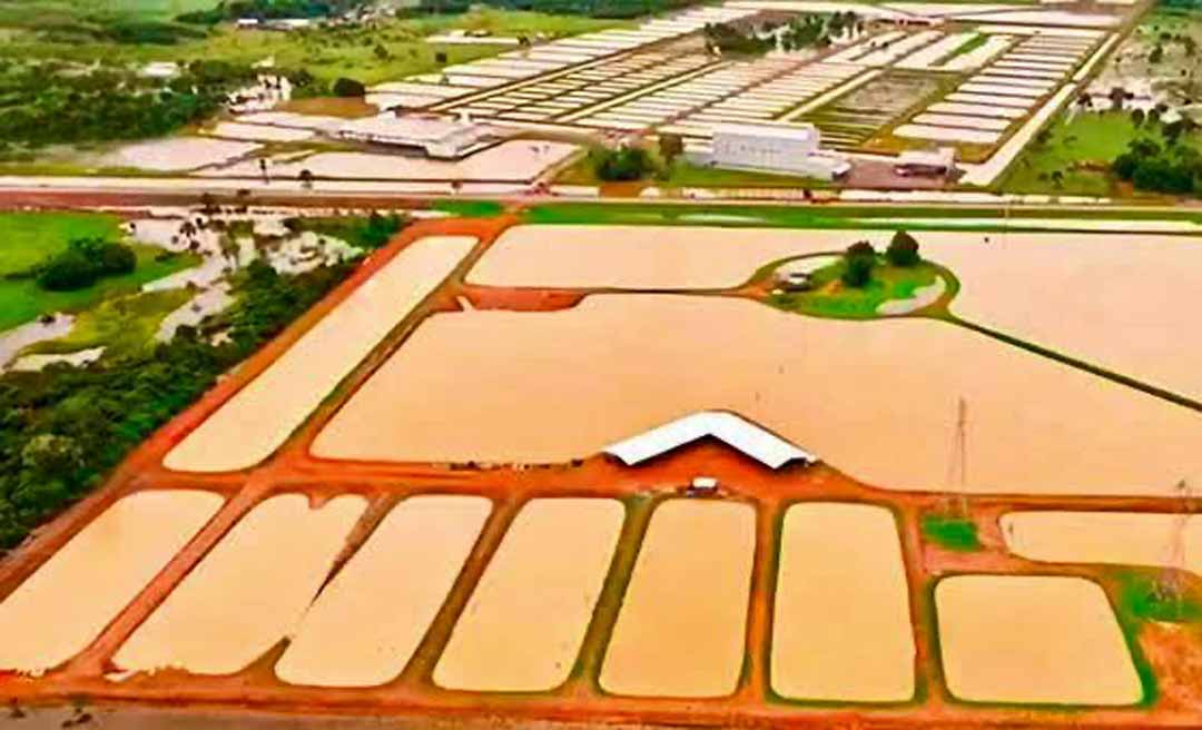 Complexo industrial da Peixes da Amazônia será vendido em leilão judicial por R$ 19 milhões