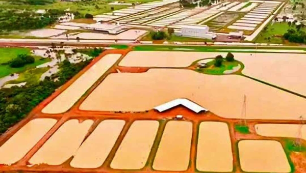 Complexo industrial da Peixes da Amazônia será vendido em leilão judicial por R$ 19 milhões