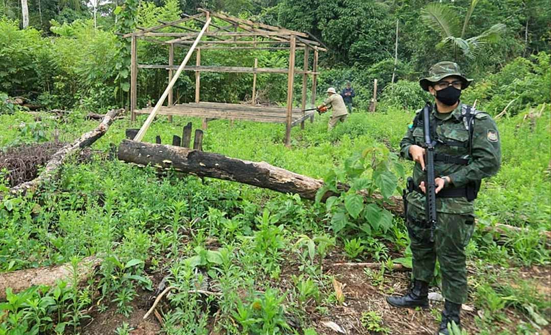 Apenas 1% dos processos relacionados à grilagem de terras no Acre tramita na Justiça; percentual revela a impunidade no campo