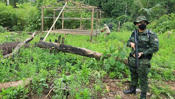 Apenas 1% dos processos relacionados à grilagem de terras no Acre tramita na Justiça; percentual revela a impunidade no campo