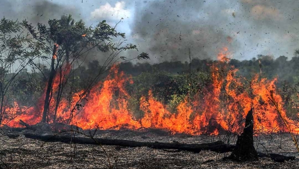 Governo do Acre firma cooperação técnica com Bombeiros e FGV para reduzir queimadas