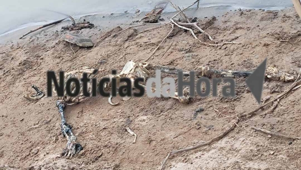 Pescadores encontram ossada humana no Rio Acre próximo a quarta ponte, em Rio Branco